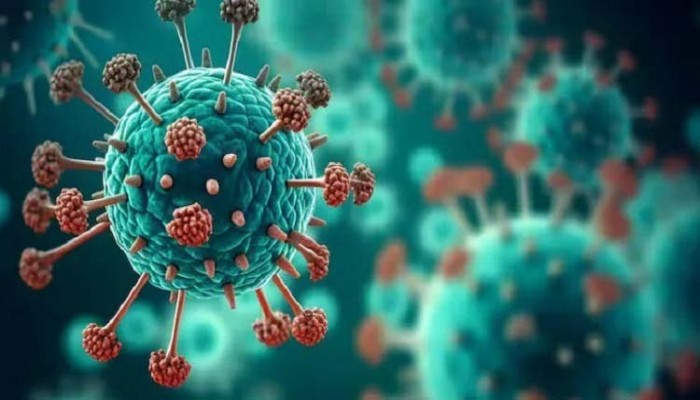 ​দেশে এইচএমপি ভাইরাস শনাক্ত