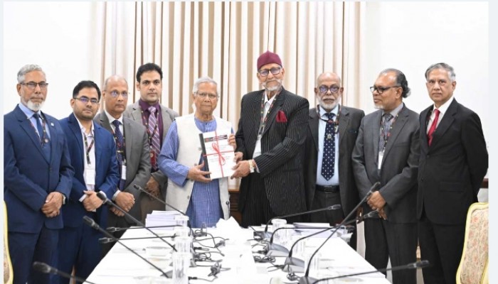 বিডিআর হত্যাকাণ্ডে দলগতভাবে জড়িত আওয়ামী লীগ, মূল সমন্বয়কারী তাপস - কমিশন