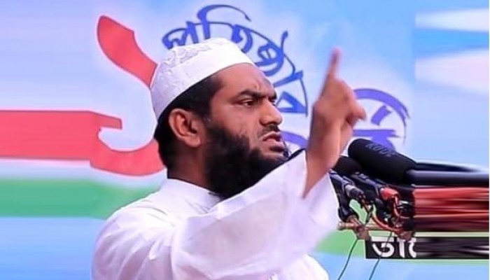 দ্রুত পিলখানা হত্যাকাণ্ডের পূর্ণাঙ্গ পর্দা উন্মোচন করার দাবি মামুনুল হকের