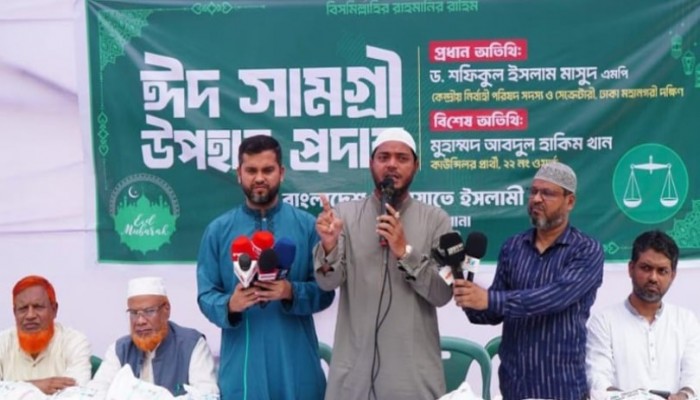 দেশে সরকার দলীয় নেতাকর্মীদের সন্ত্রাসী-চাঁদাবাজি বেড়ে গেছে- শফিকুল ইসলাম মাসুদ